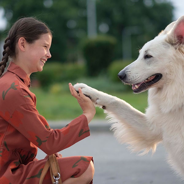 Okładka do artykułu Polskie filmy dla młodzieży spadły z wysoka, ale teraz mogą powrócić