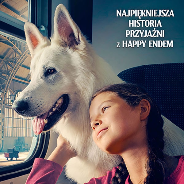 Okładka do artykułu Polskie filmy dla młodzieży spadły z wysoka, ale teraz mogą powrócić